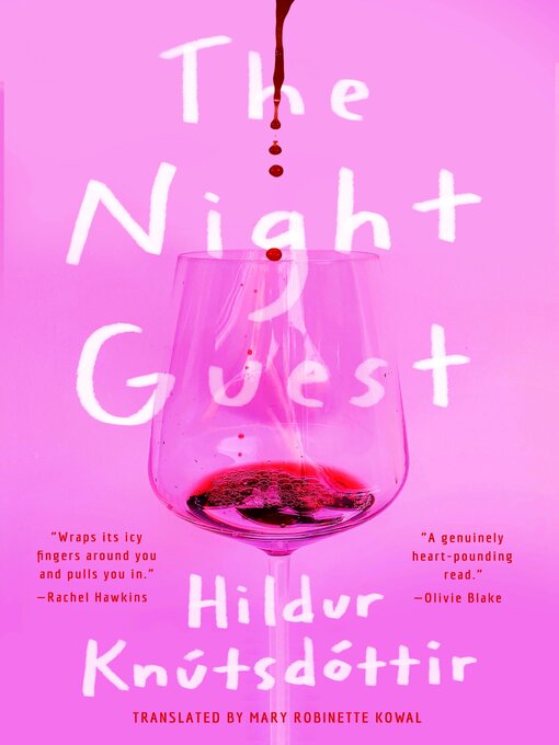 Cover image for The Night Guest